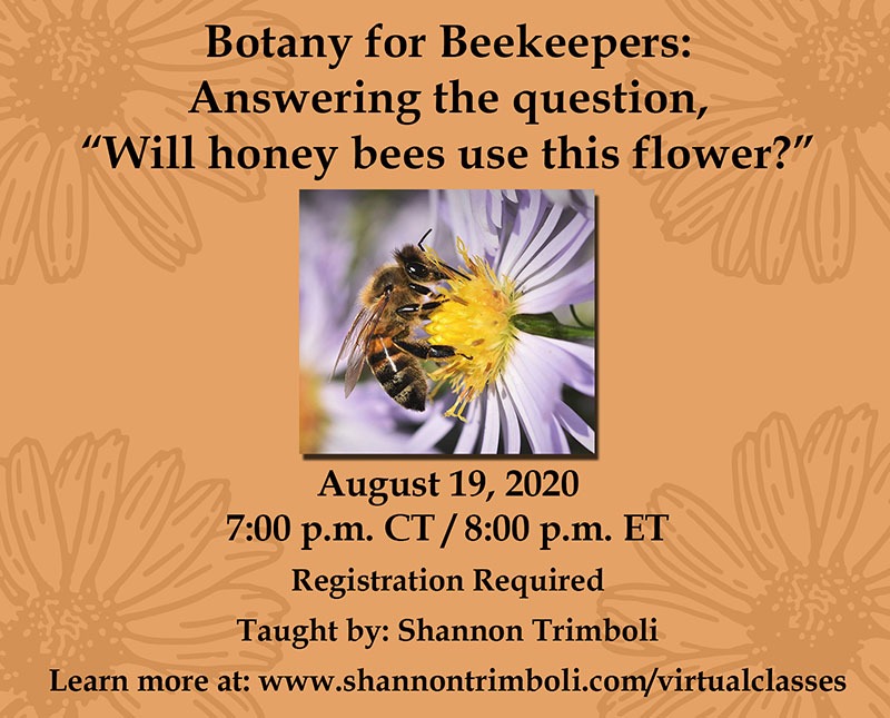 Announcing the Backyard Ecology Podcast