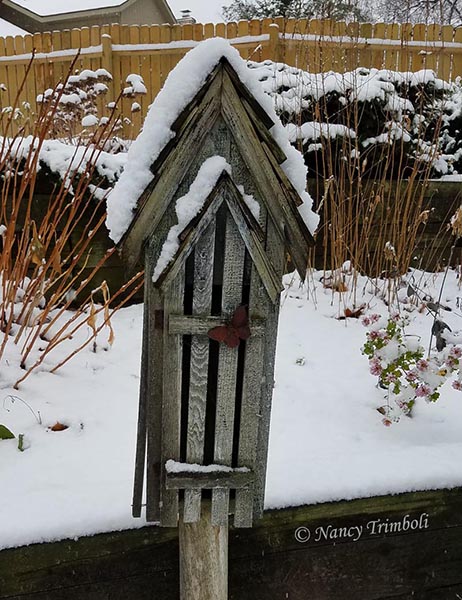 Be Careful if Putting Butterfly Boxes in Your Pollinator Garden