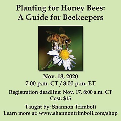 Planting for Honey Bees: A Guide for Beekeepers – Virtual Class