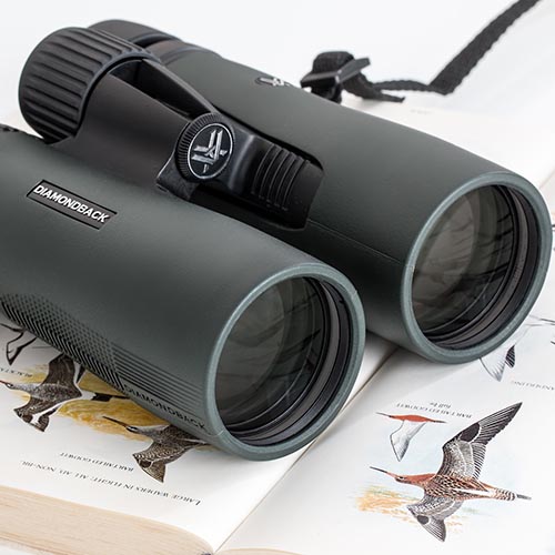 The Christmas Bird Count – Over 100 Years of Community Science