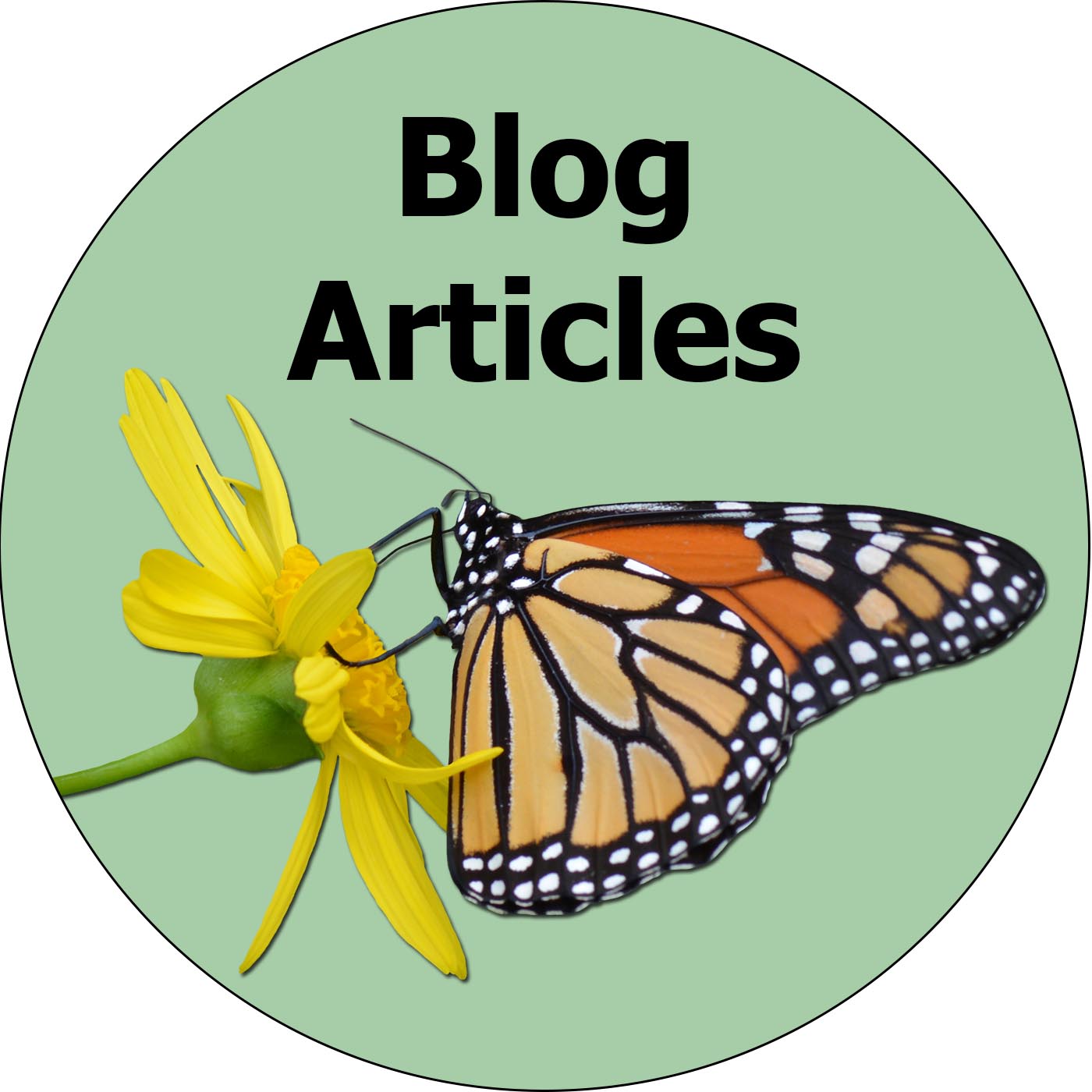Top 10 Backyard Ecology Blog Articles: October 2022 – October 2023