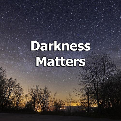 Darkness Matters: Light Pollution’s Threats and Simple Ways to Help