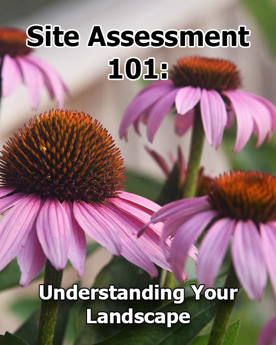Site Assessment 101: Understanding Your Landscape