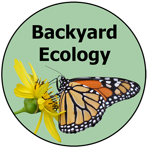Backyard Ecology