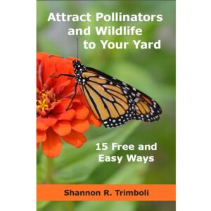 Attract Pollinators and Wildlife to Your Yard: 15 Free and Easy Ways